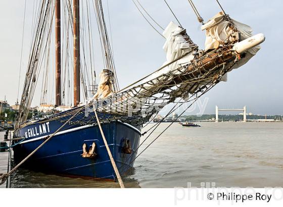 LE DE GALLANT, RASSEMBLEMENT  DE GRANDS VOILIERS DANS  LE PORT DE LA LUNE,  BORDEAUX . (33F33839.jpg)