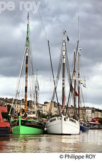 RASSEMBLEMENT  DE GRANDS VOILIERS DANS  LE PORT DE LA LUNE,  VILLE DE  BORDEAUX FETE LE VIN. (33F33903.jpg)