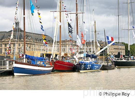 RASSEMBLEMENT  DE GRANDS VOILIERS DANS  LE PORT DE LA LUNE,  VILLE DE  BORDEAUX FETE LE VIN. (33F33907.jpg)