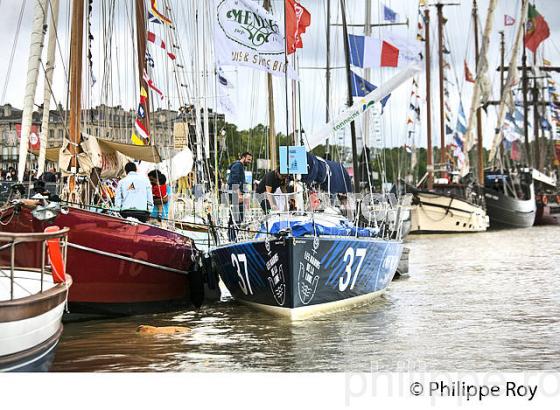 RASSEMBLEMENT  DE GRANDS VOILIERS DANS  LE PORT DE LA LUNE,  VILLE DE  BORDEAUX FETE LE VIN. (33F33908.jpg)