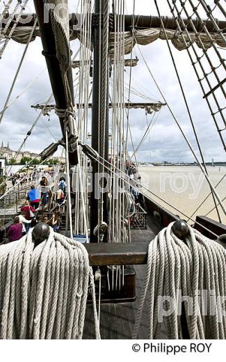 LE GALION   EL GALEON, RASSEMBLEMENT  DE GRANDS VOILIERS DANS  LE PORT DE LA LUNE,  BORDEAUX FETE LE VIN, VILLE DE BORDEAUX. (33F34103.jpg)