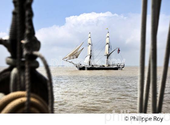 LE  MORGENSTER BRICK NEERLANDAIS, SOUS VOILE DANS L' ESTUAIRE DE LA GIRONDE. (33F34201.jpg)