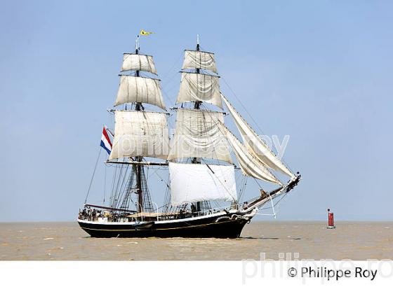 LE  MORGENSTER BRICK NEERLANDAIS, SOUS VOILE DANS L' ESTUAIRE DE LA GIRONDE. (33F34208.jpg)