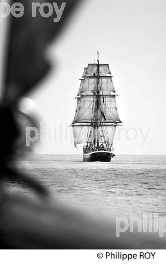 LE  MORGENSTER BRICK NEERLANDAIS, SOUS VOILE DANS L' ESTUAIRE DE LA GIRONDE. (33F34215.jpg)
