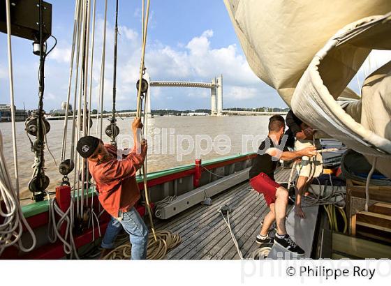 NAVIGATION  A VOILE SUR LA NEBULEUSE, ANCIEN THONIER, LA GARONNE,   BORDEAUX . (33F34233.jpg)