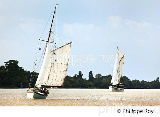 LE  OLD POPPA , COTRE AURIQUE, NAVIGANT A LA VOILE, SUR LA GARONNE ,  BORDEAUX . (33F34312.jpg)