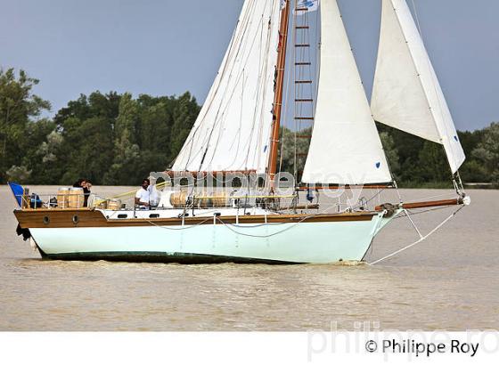 LE  OLD POPPA , COTRE AURIQUE, NAVIGANT A LA VOILE, SUR LA GARONNE ,  BORDEAUX . (33F34314.jpg)