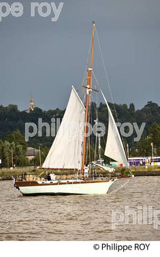 LE  OLD POPPA , COTRE AURIQUE, NAVIGANT A LA VOILE, SUR LA GARONNE ,  BORDEAUX . (33F34315.jpg)