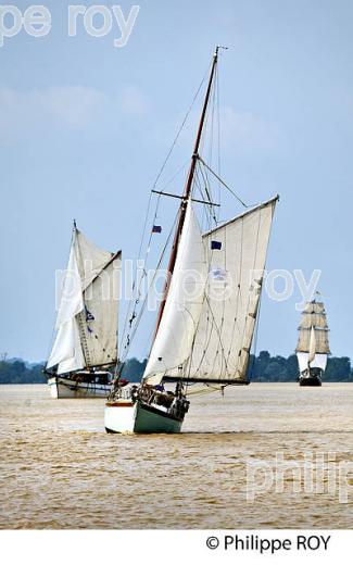 LE  OLD POPPA , COTRE AURIQUE, NAVIGANT A LA VOILE, SUR LA GARONNE ,  BORDEAUX . (33F34316.jpg)