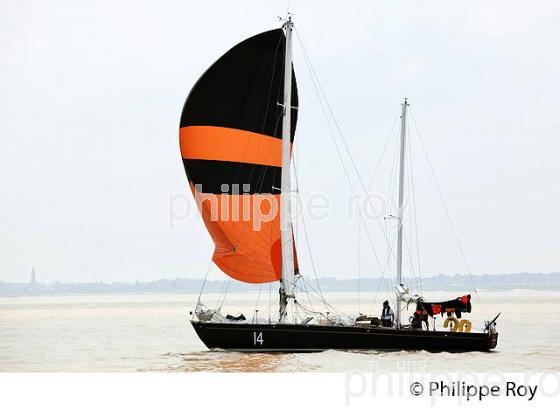 LE VOILIER PEN DUICK II  NAVIGANT  SOUS SPI,  DANS L'  ESTUAIRE DE LA GIRONDE. (33F34317.jpg)