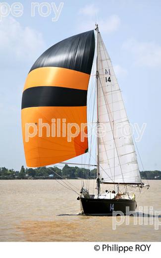 LE VOILIER PEN DUICK II  NAVIGANT  SOUS SPI,  DANS L'  ESTUAIRE DE LA GIRONDE. (33F34320.jpg)