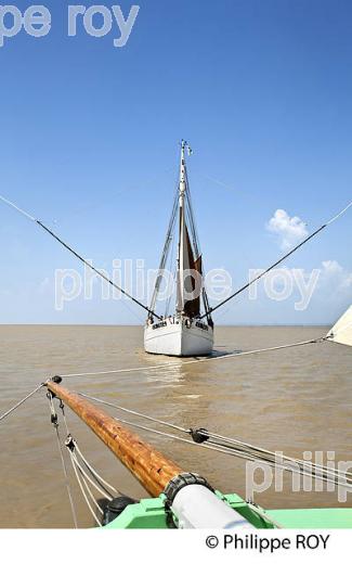 LE BICHE, ANCIEN THONIER, A LA VOILE, ESTUAIRE DE LA GIRONDE. (33F34321.jpg)