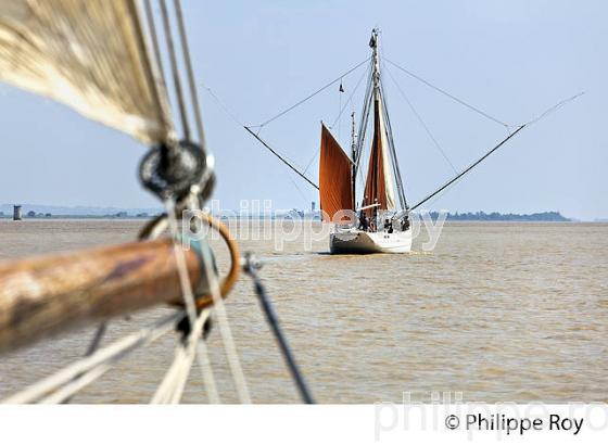 LE BICHE, ANCIEN THONIER, A LA VOILE, ESTUAIRE DE LA GIRONDE. (33F34328.jpg)