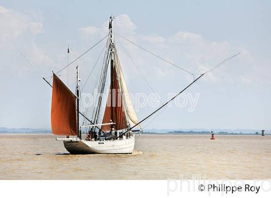 LE BICHE, ANCIEN THONIER, A LA VOILE, ESTUAIRE DE LA GIRONDE. (33F34330.jpg)