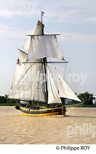 LE  RENARD , REPLIQUE DE COTRE A HUNIER, SOUS VOILE, ESTUAIRE DE LA GIRONDE. (33F34337.jpg)