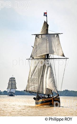 LE  RENARD , REPLIQUE DE COTRE A HUNIER, SOUS VOILE, ESTUAIRE DE LA GIRONDE. (33F34338.jpg)