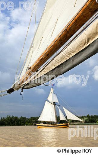 LE  RENARD , REPLIQUE DE COTRE A HUNIER, SOUS VOILE, ESTUAIRE DE LA GIRONDE. (33F34339.jpg)