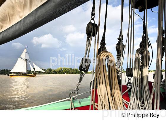 LE  RENARD , REPLIQUE DE COTRE A HUNIER, SOUS VOILE, ESTUAIRE DE LA GIRONDE. (33F34340.jpg)