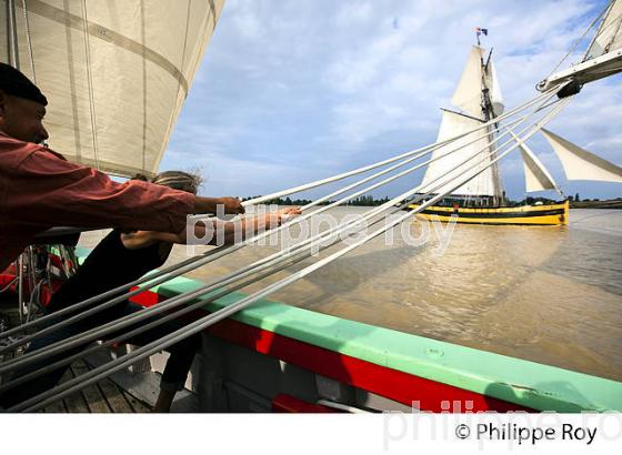 LE  RENARD , REPLIQUE DE COTRE A HUNIER, SOUS VOILE, ESTUAIRE DE LA GIRONDE. (33F34401.jpg)