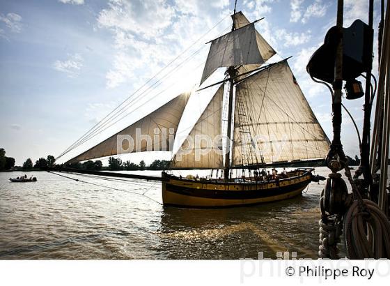 LE  RENARD , REPLIQUE DE COTRE A HUNIER, SOUS VOILE, ESTUAIRE DE LA GIRONDE. (33F34405.jpg)