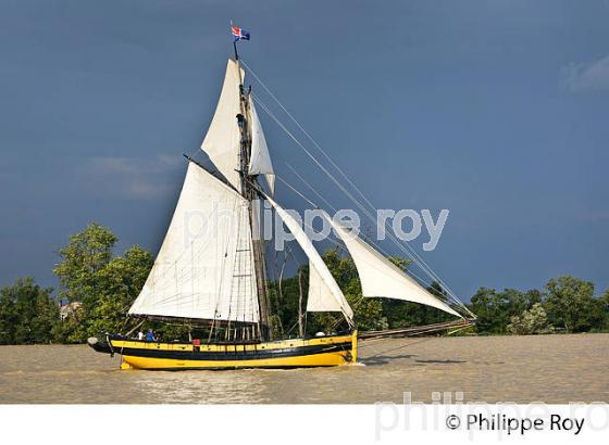 LE  RENARD , REPLIQUE DE COTRE A HUNIER, SOUS VOILE, ESTUAIRE DE LA GIRONDE. (33F34406.jpg)