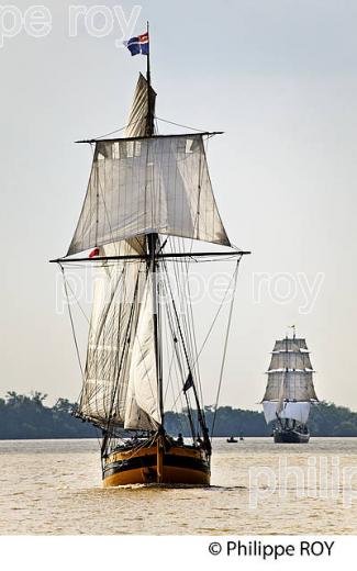 LE  RENARD , REPLIQUE DE COTRE A HUNIER, SOUS VOILE, ESTUAIRE DE LA GIRONDE. (33F34409.jpg)