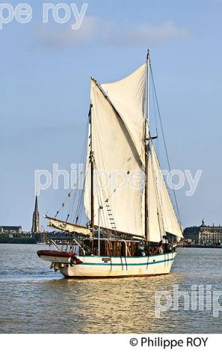 L' ARWAK, KETCH AURIQUE,  A LA VOILE SUR LA GARONNE, PORT DE LA LUNE,    BORDEAUX. (33F34414.jpg)