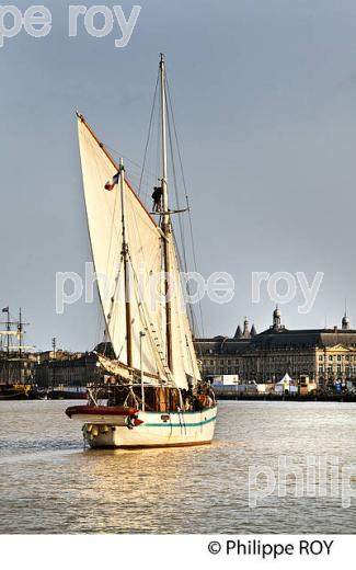 L' ARWAK, KETCH AURIQUE,  A LA VOILE SUR LA GARONNE, PORT DE LA LUNE,    BORDEAUX. (33F34415.jpg)