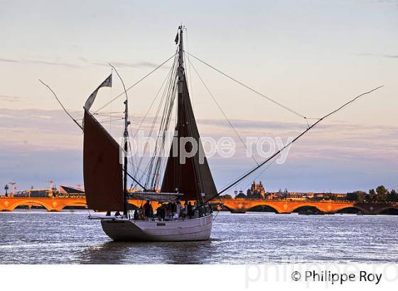 LE BICHE, ANCIEN THONIER, A LA VOILE, PORT DE LA LUNE, BORDEAUX. (33F34424.jpg)