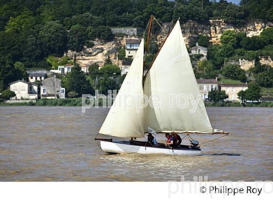 BARQUE A VOILE  NAVIGANT SUR L' ESTUAIRE DE LA GIRONDE ET CORNICHE DE BOURG SUR GIRONDE (33F34503.jpg)