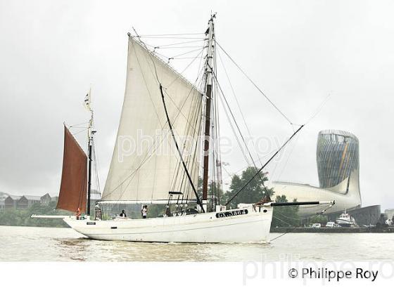 LE BICHE, THONIER ,  GRANDS VOILIERS SUR LA GARONNE,  PONT  CHABAN DELMAS,  BORDEAUX . (33F34523.jpg)