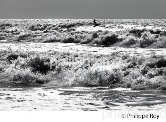 HOULE SUR LA COTE ATLANTIQUE,  PLAGE D' OURTIN, MEDOC, GIRONDE. (33F34605.jpg)