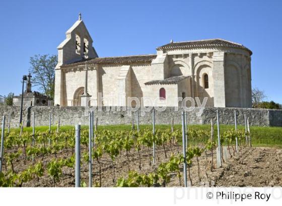 EGLISE ROMANE DE MOUILLAC,  ET VIGNOBLE DE BORDEAUX, PAYS DU FRONSADAIS,  GIRONDE. (33F34937.jpg)