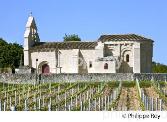 EGLISE ROMANE DE MOUILLAC,  ET VIGNOBLE DE BORDEAUX, PAYS DU FRONSADAIS,  GIRONDE. (33F34939.jpg)