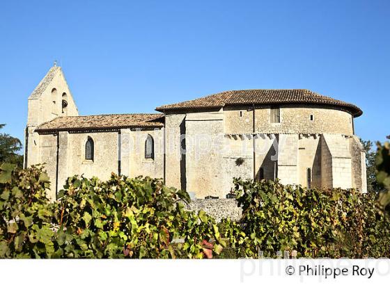 EGLISE ROMANE  , VILLAGE DE DOULEZON, ENTRE DEUX MERS, GIRONDE (33F35137.jpg)