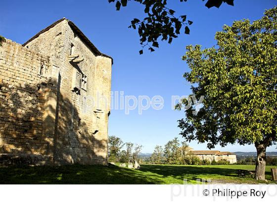 CHATEAU MEDIEVAL ,  VILLAGE FORTIFIE   DE PUJOLS, ENTRE DEUX MERS, GIRONDE. (33F35313.jpg)