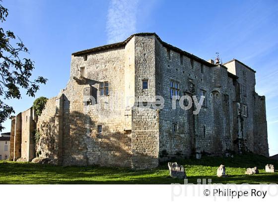 CHATEAU MEDIEVAL ,  VILLAGE FORTIFIE   DE PUJOLS, ENTRE DEUX MERS, GIRONDE. (33F35314.jpg)