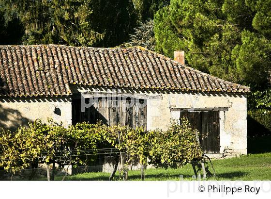 ANCIEN BATIMENT DE CHAI, VILLAGE DE SAINTE FERME, ENTRE DEUX MERS, GIRONDE (33F35324.jpg)