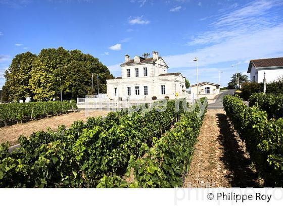 MAIRIE, VILLAGE VITCOLE DE SAILLANS, AOC FRONSAC, VIGNOBLE DE BORDEAUX, GIRONDE. (33F35417.jpg)