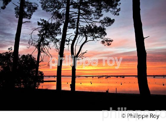 LEVER DE SOLEIL, LAC DE CARCANS, MEDOC,  GIRONDE. (33F35436.jpg)