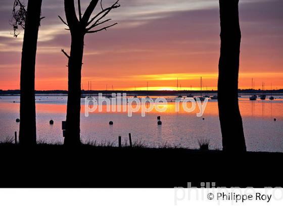 LEVER DE SOLEIL, LAC DE CARCANS, MEDOC,  GIRONDE. (33F35437.jpg)