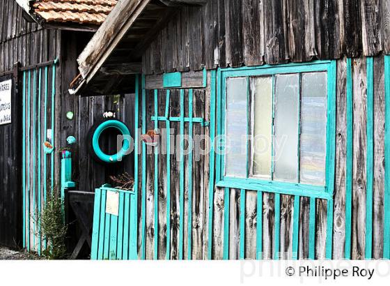 PORT OSTREICOLE DE LA TESTE, BASSIN D' ARCACHON, GIRONDE. (33F35524.jpg)