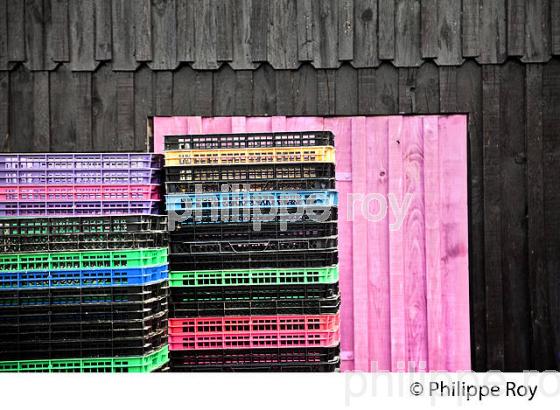 PORT OSTREICOLE DE LA TESTE, BASSIN D' ARCACHON, GIRONDE. (33F35527.jpg)