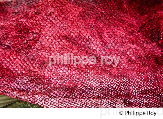 TANNERIE DE PEAUX DE POISSON , FEMER, BASSIN D' ARCACHON, GIRONDE. (33F35612.jpg)