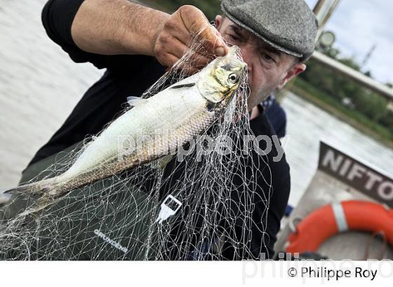 PECHEUR SUR LA GARONNE, PORT DE VILLE DE BORDEAUX, GIRONDE. (33F35639.jpg)