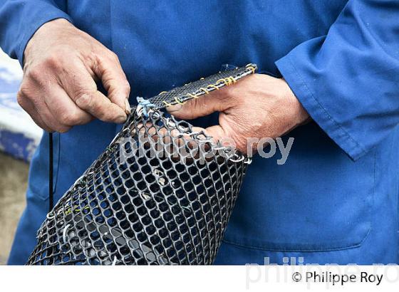 PECHEUR SUR LA GARONNE, PORT DE VILLE DE BORDEAUX, GIRONDE. (33F35719.jpg)