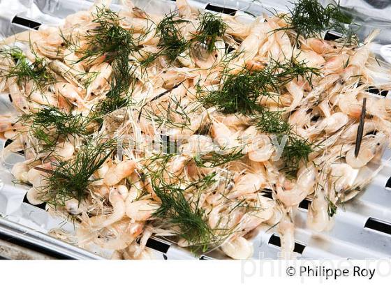 PECHEUR SUR LA GARONNE, PORT DE VILLE DE BORDEAUX, GIRONDE. (33F35722.jpg)