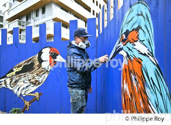 GRAFFITI, PALISSADE, STREET ART, BORDEAUX, GIRONDE. (33F35728.jpg)