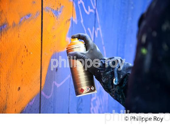 GRAFFITI, PALISSADE, STREET ART, BORDEAUX, GIRONDE. (33F35730.jpg)