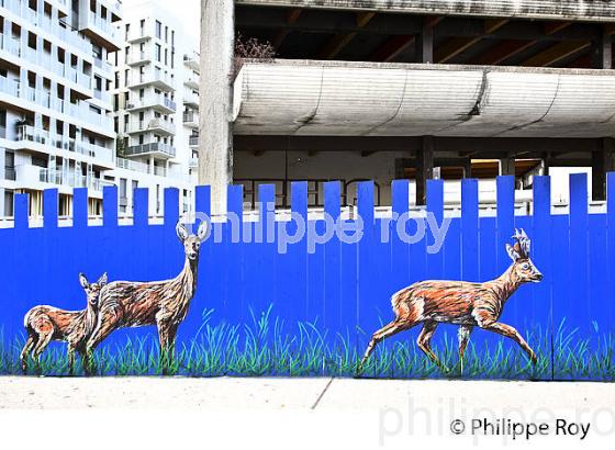 GRAFFITI, PALISSADE, STREET ART, BORDEAUX, GIRONDE. (33F35737.jpg)